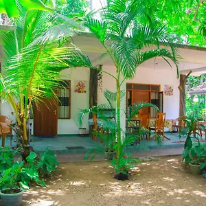 Séjour chez l'habitant Amba Sewana Homestay Sri Lanka